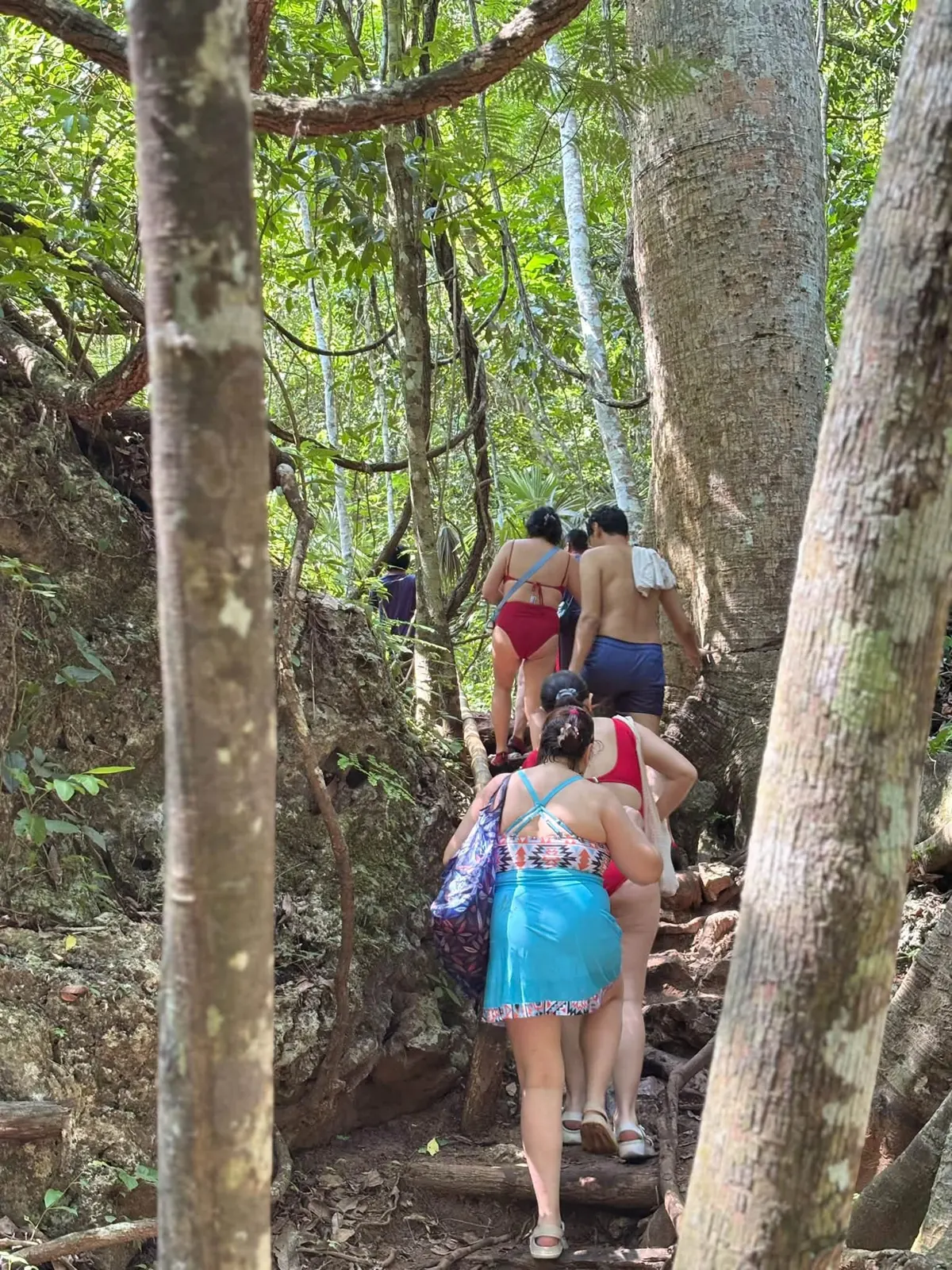 Experiencia de naturaleza de Tierra de Cascadas, fotografía 7
